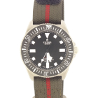 Tudor Pelagos