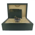 Rolex GMT Master II