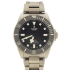 Tudor Pelagos
