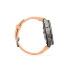 Fenix 9 Pro inReach 43 mm