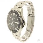 Omega Seamaster Professional