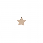 Pendiente Estrella XL (Ud)