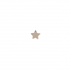 Pendiente Estrella XS (Ud)