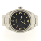 Tudor Ranger